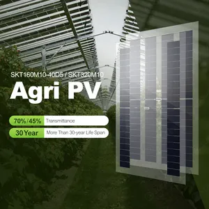 70% 투과율 유리 농업 온실 농업 Pv 160w 320w 이중 유리 이중 안면 태양 전지 패널 농약