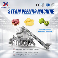 Industriële aardappel- en wortelgroente- en fruitstoomschilmachine, 5t/u continue stoom, voor de conservenindustrie