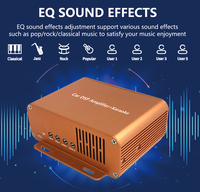 Bosstar coréen amplificateur voiture Audio karaoké Ktv avec voiture sans fil Microphone Dsp amplificateur de puissance pour Android stéréo