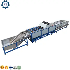 Citrus Fruits Washing Washer Orange Waxing Polishing Machine Apple Grading Sorting Machine With Dryer