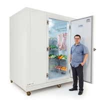 Chambre froide solaire à batterie lithium pour la congélation de viande, thon, poisson et fruits de mer