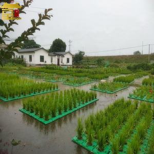 HDPE เป็นมิตรกับสิ่งแวดล้อมบำบัดน้ำเสียพืชน้ำเทียมชีวภาพลอยเกาะ - Product Image 5
