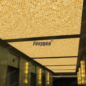 Mẫu miễn phí trang trí trần căng vải plafond cửa hàng thiết kế Trần 3D 3-5m PVC in căng Trần - Product Image 2