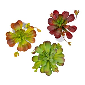 CallaFloral Plante succulente artificielle murale, vert clair, rouge foncé, en plastique, haute simulation, pour décoration de mariage et de maison - Product Image 5