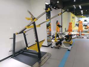 Kommerzielles Multifunktionales Freigewicht-Fitnessgerät Unbegrenzter Freitrainer für Bodybuilding - Product Image 4