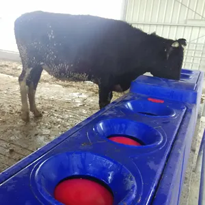 4m Blue 6 Hole Insulated Plastic Covered Drinking Trough Large Flow Cow Water Drinker