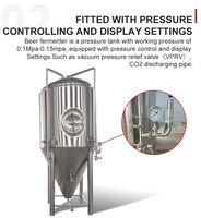 Cuves De Fermentation pour Mini brasserie, clé en main Ss316l 200L