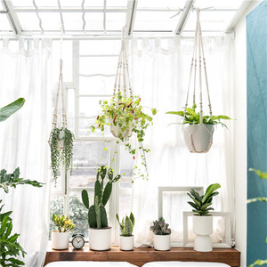 Grandes Cestas Colgantes Para Plantas Cadenas De Canasta 3 Puntos Colgantes Frutas Y Verduras Forreos <span class=keywords><strong>Coco</strong></span> La Forma <span class=keywords><strong>Del</strong></span> Cono - Product Image 2
