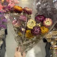 Matériaux d'arrangement floral en gros tout-en-un : Fleurs éternelles en paille avec tige, fleurs en paille préservées, chrysanthèmes naturels
