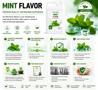 Arôme de menthe de qualité alimentaire, liquide, haute concentration, longue durée, idéal pour les boissons et les desserts