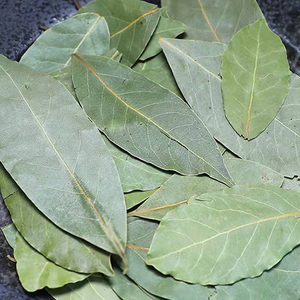 Hojas de Laurel naturales <span class=keywords><strong>secas</strong></span> de hierbas al por mayor - Product Image 3