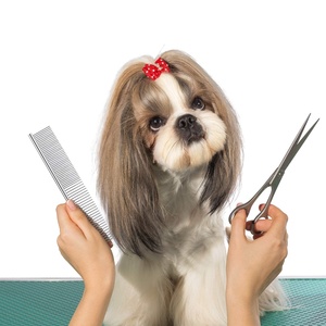 KingHon Wholesale <b>Hot</b> Sale Pet Fur Grooming Tools Silver Metal Double Side Pet <b>Comb</b> Stainless Steel for Dog and Cat - Product Image 5