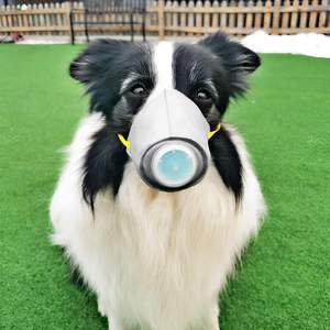 Dapat diatur 6 buah dapat digunakan kembali anjing <span class=keywords><strong>Gas</strong></span> wajah masker asap bernapas sekali pakai anjing Filter udara perlengkapan pelatihan hewan peliharaan - Product Image 2