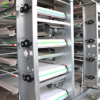 Proyecto de Jaulas para Aves de Corral Rentables y Completas, Jaula Tipo H con Equipo Automático de Alimentación, Recolección de Huevos y Manejo de Estiércol