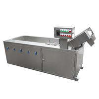 Dezoton Industriële Fruit Groente Wasmachine 304 Roestvrijstalen Wasmachine voor Kantine Centrale Keuken 220V 380V Eenvoudig te bedienen