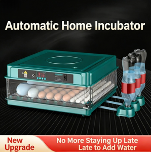 Incubateur spécialisé à température et humidité constantes, adapté aux œufs géants à couver, incubation professionnelle - Product Image 2