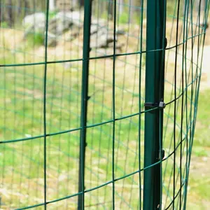 1/2'' PVC Coated Galvanized Welded Wire Mesh Roll Welded Wire Fence Panel