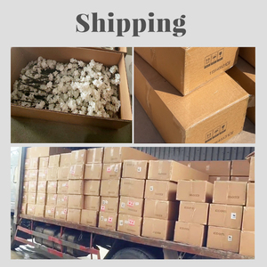 제한된 시간 제공 실내 대형 인공 콰이 나무 인공 팜나무 - Product Image 5