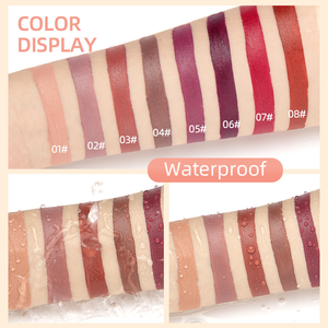 Lápiz Delineador y <span class=keywords><strong>Labial</strong></span> 2 en 1 al por Mayor, Lápiz <span class=keywords><strong>Labial</strong></span> Mate de Larga Duración para Salones de Belleza y Minoristas - Product Image 4