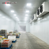 Unité de condensation refroidie par eau avec compresseur semi-hermétique et condenseur en acier inoxydable pour la réfrigération par inversion des températures dans les chambres froides