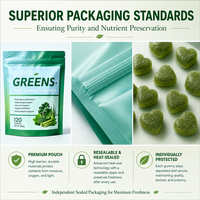 SYC BIO Gummies Super Greens Naturels Mélange de Verts Quotidiens Harmonie Digestive Complément Alimentaire Quotidien 120 Comprimés Sac de 600g Durée de Conservation 24 Mois