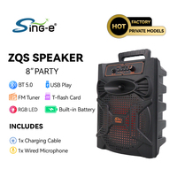 Enceinte portable SING-E ZQS809 pour fêtes en extérieur, enceinte sans fil avec woofer d'origine et microphone