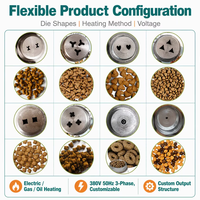 Machine à fabriquer des croquettes pour chiens à double extrudeur, ligne de production automatique d'aliments pour animaux de compagnie