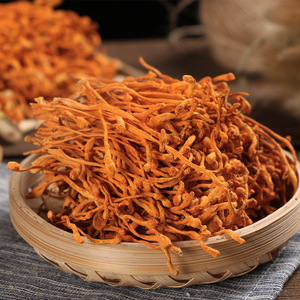 Haute Qualité Cordyceps Fleurs Cuisine Chinoise Cuire Soupe Cordyceps Fleurs Cordycepts Champignons Boodied - Product Image 3