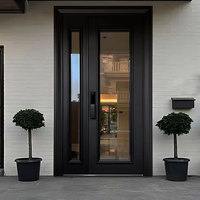 Puertas de Vidrio Personalizadas con Buenas Propiedades de Transmisión de Luz, Puerta Principal Frontal de Metal y Acero, Puerta Exterior de Entrada Única