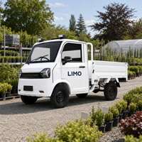 Camion électrique de fret à quatre roues de 1,6 m avec benne latérale rabattable, moteur 1500 W, cabine fermée avec porte