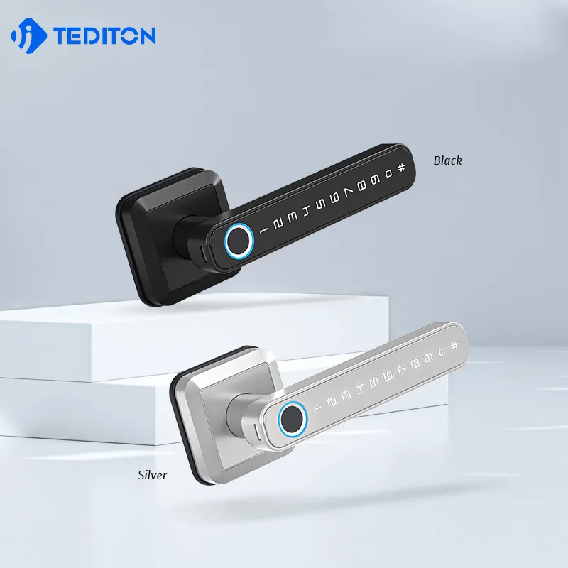 Simplified Lever Luxury WiFi Tuya APP Smart Keyless Fingerprint Interior Front Door Handle Lock