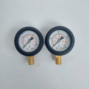 फैक्टरी प्रत्यक्ष बिक्री 16बार 230psi डायल 50 मिमी डबल स्केल बॉटम एयर प्रेशर गेज - Product Image 5