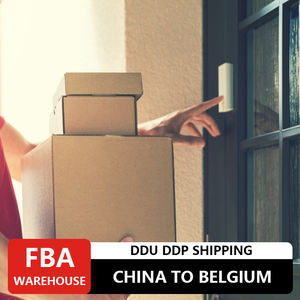 Prezzo competitivo LCL + Express tariffe di spedizione internazionale da cina a belgio mare trasporto logistico - Product Image 6