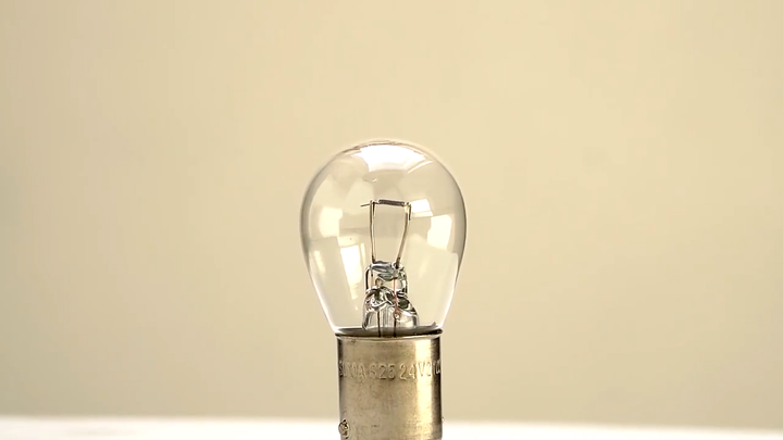 フローライト　ドラゴン　龍　辰　B BAY BLAZE（ベイブレイズ）｜OFF SHORE｜テンリュウ