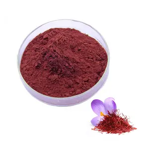 Hot Selling Supply 100% Natural Crocus Sativus Extract Crocus Sativus Extract Powder