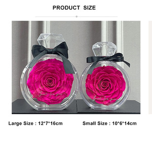 AM-PFE59 Botella de Perfume con Rosa Preservada Grande con Caja de Regalo para el Día de San Valentín, Cumpleaños, Navidad y Regalo de Año Nuevo - Product Image 6