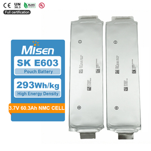 Batteria a Sacchetto NMC agli Ioni di Litio di Grado A, 3.7V <span class=keywords><strong>60</strong></span>.3Ah 60Ah 62.5Ah 66.5Ah E603 E600 S004, per Veicoli Elettrici - Product Image 1