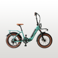 Longue portée 20 "x4.0 famille 48V 15Ah 500W e-bike vélo électrique hybride Cargo à deux roues