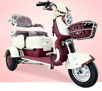 Tricycle électrique 48V/60V à batterie au plomb, 600W, frein à tambour, siège en mousse, panier avant, pneus petits, cadre en acier carbone, 3 vitesses, pour la ville