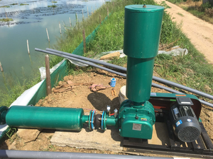 الأكثر مبيعًا 2hp ارتفاع ضغط كهربائي AC الحديد الزهر قدرة عالية الأكسجين تربية الأحياء المائية أكسجين لتربية الأسماك والروبيان - Product Image 4