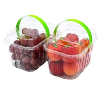 Boîte en plastique transparente de récipient d'emballage alimentaire de boursouflure d'animal familier écologique fait sur commande raisin fraise fruit