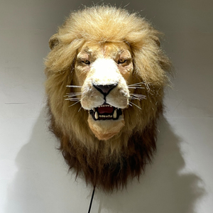 Modèle réaliste de Simulation de tête de Lion Animatronic pour <span class=keywords><strong>exposition</strong></span> - Product Image 1