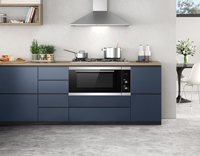 Grands fours professionnels d'usine 900mm 100L four électrique intégré pour les principaux appareils de cuisine