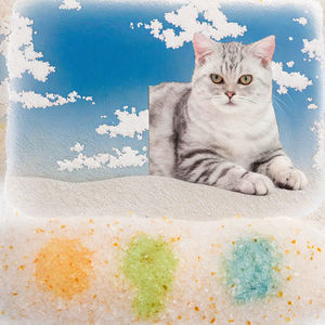 ทรายแมวพรีเมียมรักษ์โลก |   ปราศจากฝุ่น |   โรงงานผลิตทรายแมวซิลิกาเจลสำหรับตรวจสอบสุขภาพ จำหน่ายจำนวนมาก - Product Image 3