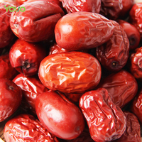 Pasokan pabrik kering tanggal merah Jujube alami kering merah kecil kurma Jujube kualitas tinggi teh buah dalam jumlah besar