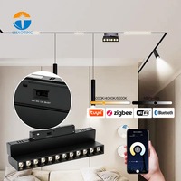 Sistem Rel Lampu LED Magnetik Tersembunyi DC48V dengan Sakelar CCT yang Dapat Disesuaikan dan Diredupkan, Kontrol Lampu Pintar Tuya WiFi 2.4G