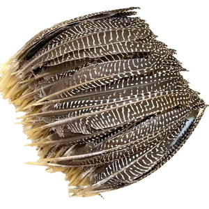 Plumes décoratives teintées Soraj Enterprises pour projets de bricolage, accessoires de costume, chapellerie, mariage, fête, maison, design de mode - Product Image 1