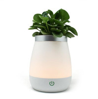 Lampe d'atmosphère led pour café, Vase, décoration d'ambiance, Bar, chambre à coucher