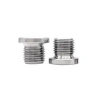 Vis de bouchon de tuyau hexagonale en acier inoxydable 304 DIN908 pour systèmes hydrauliques et moteurs, avec caméra espion intégrée