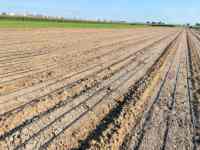 Ruban goutte-à-goutte agricole 16 mm avec émetteurs plats intégrés, résistant aux UV, pour système d'irrigation de jardin, serre et agriculture